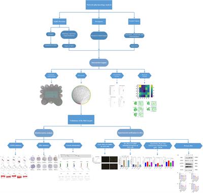 Network Pharmacology Study and Experimental Validation of Yiqi Huayu Decoction Inducing Ferroptosis in Gastric Cancer